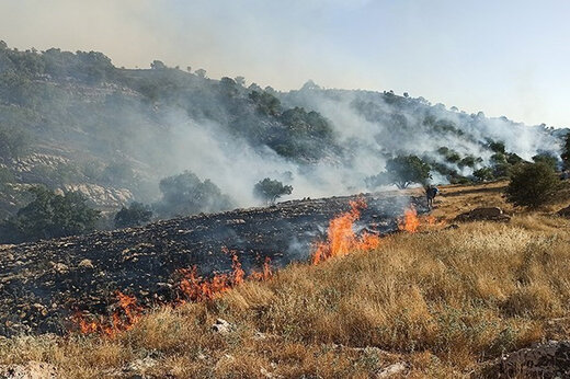 ببینید | شعله‌ور شدن دوباره آتش در منطقه حفاظت شده خائیز