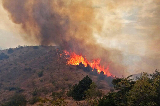 ببینید | آتش سوزی در مناطق مرتعی و اراضی جنگلی کرمان 