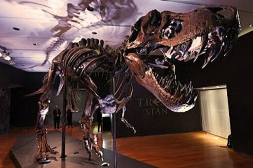 ببینید | حدود قیمت فروش دایناسور 12 متری در حراجی نیویورک مشخص شد!