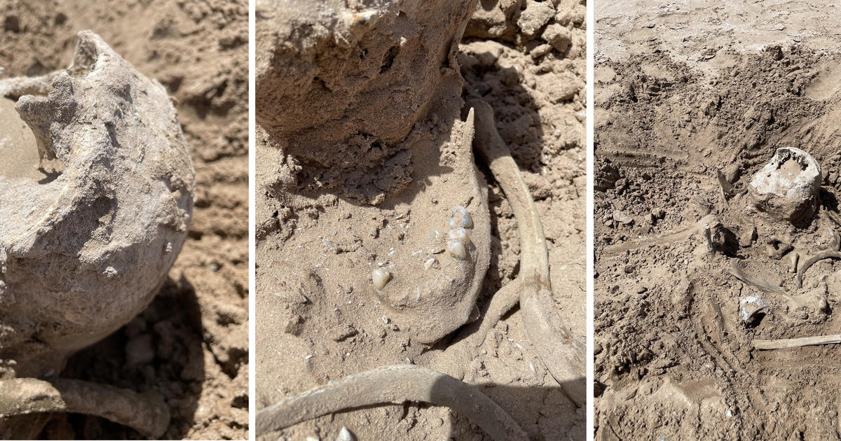 کشف ردپای دایناسورها بعد از ۱۱۳ میلیون سال/ عکس