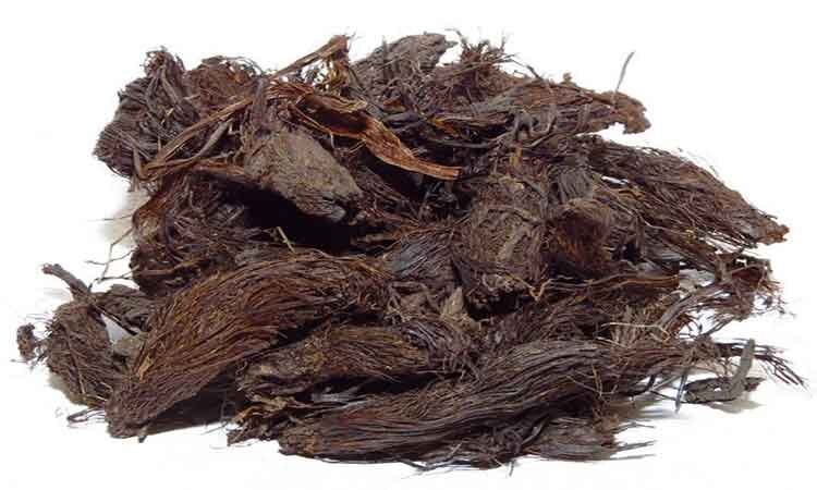 این گیاه بهترین دارو برای سلامتبدن و آرامشاعصاب است