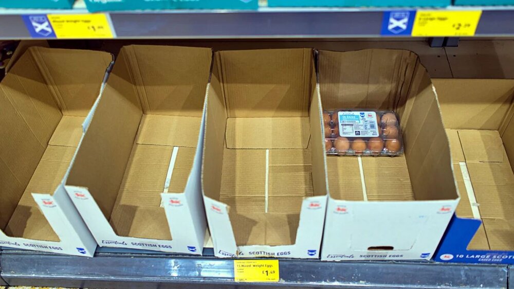 آنفولانزا تخممرغ را در انگلیس کمیاب کرد