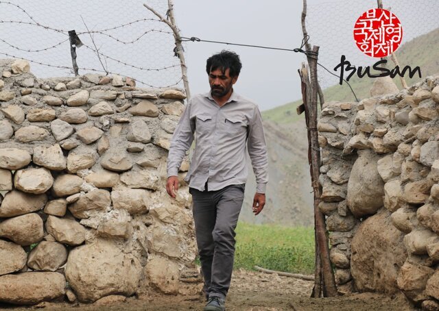 سینمای ایران در جشنوارههای مهم امسال چه کرد؟