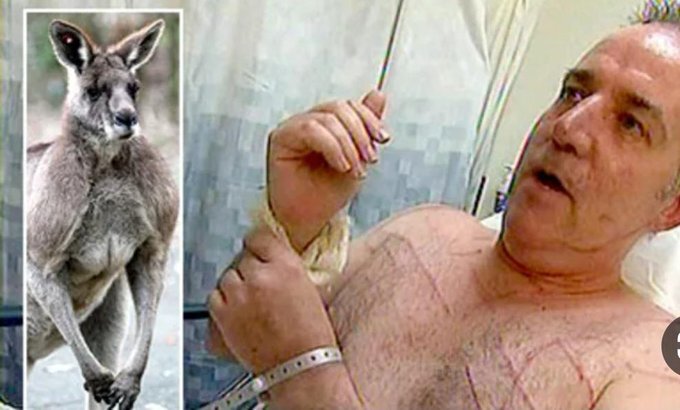 عکس| این قاتلان قویهیکل استرالیایی را بشناسید