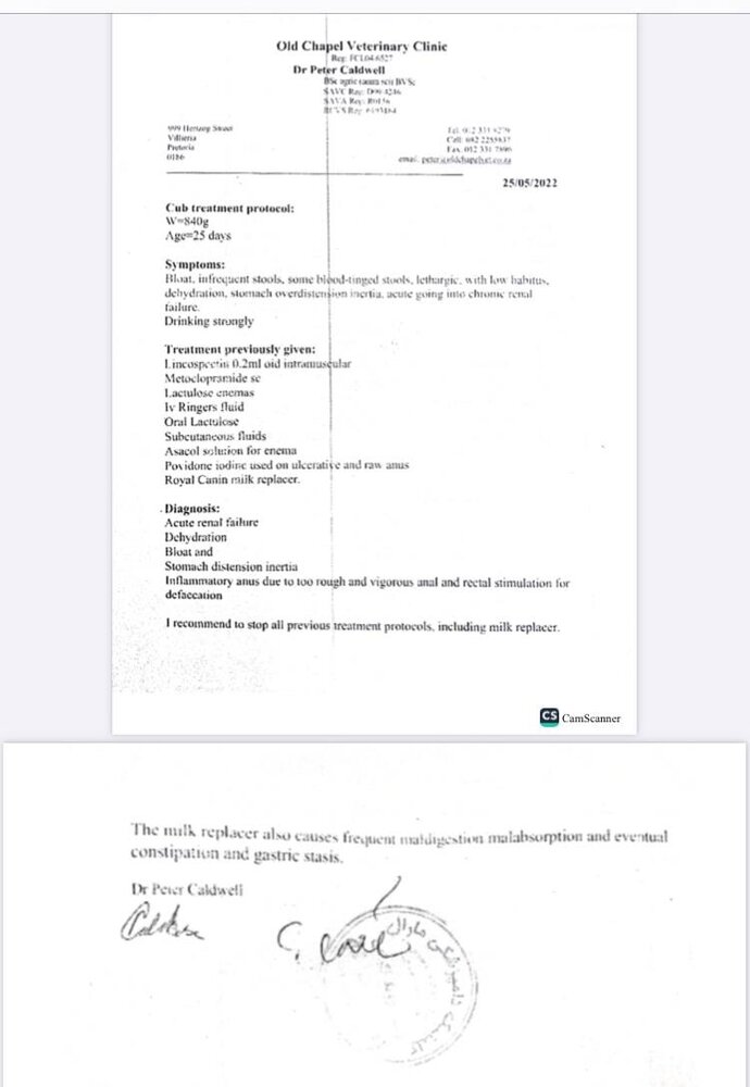 افشای سند دکتر پیتر کالدول از بیماری پیروز/ «چرا به مردم امید بیهوده دادید؟»