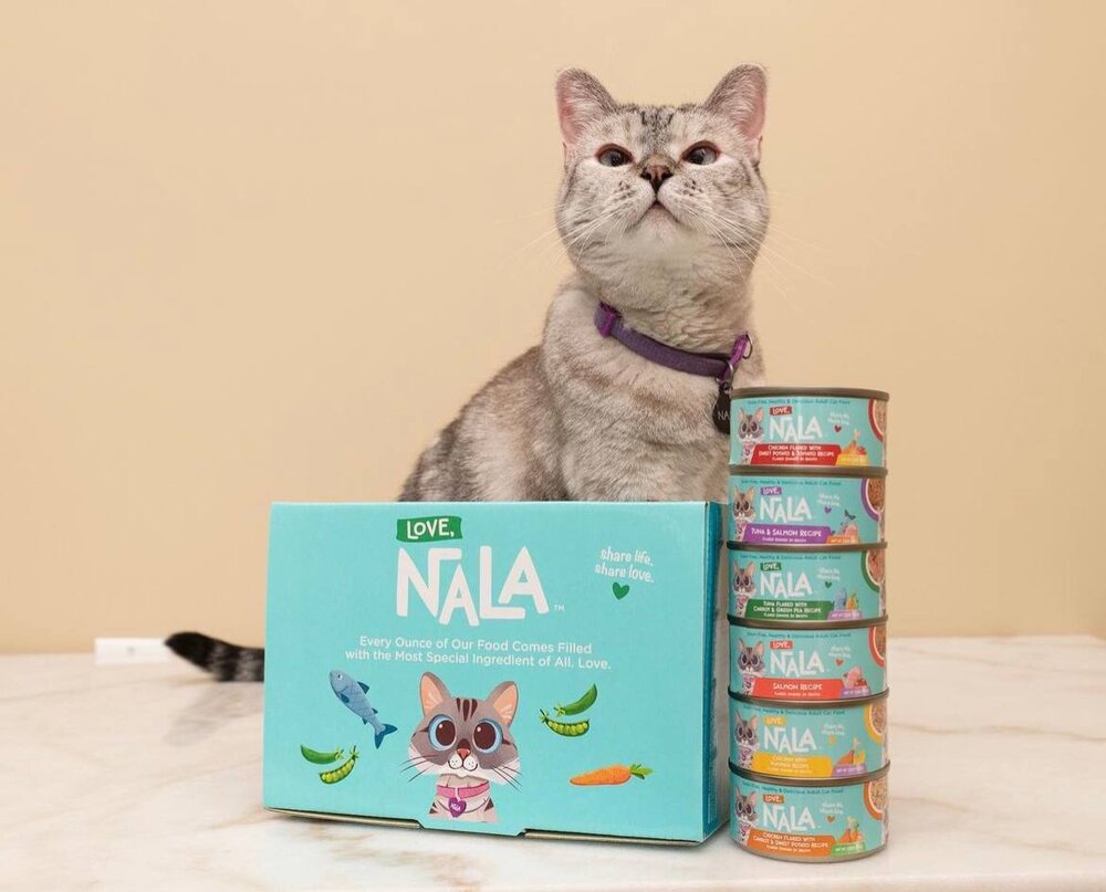 عکس| صاحب ثروتمندترین گربه جهان کیست؟