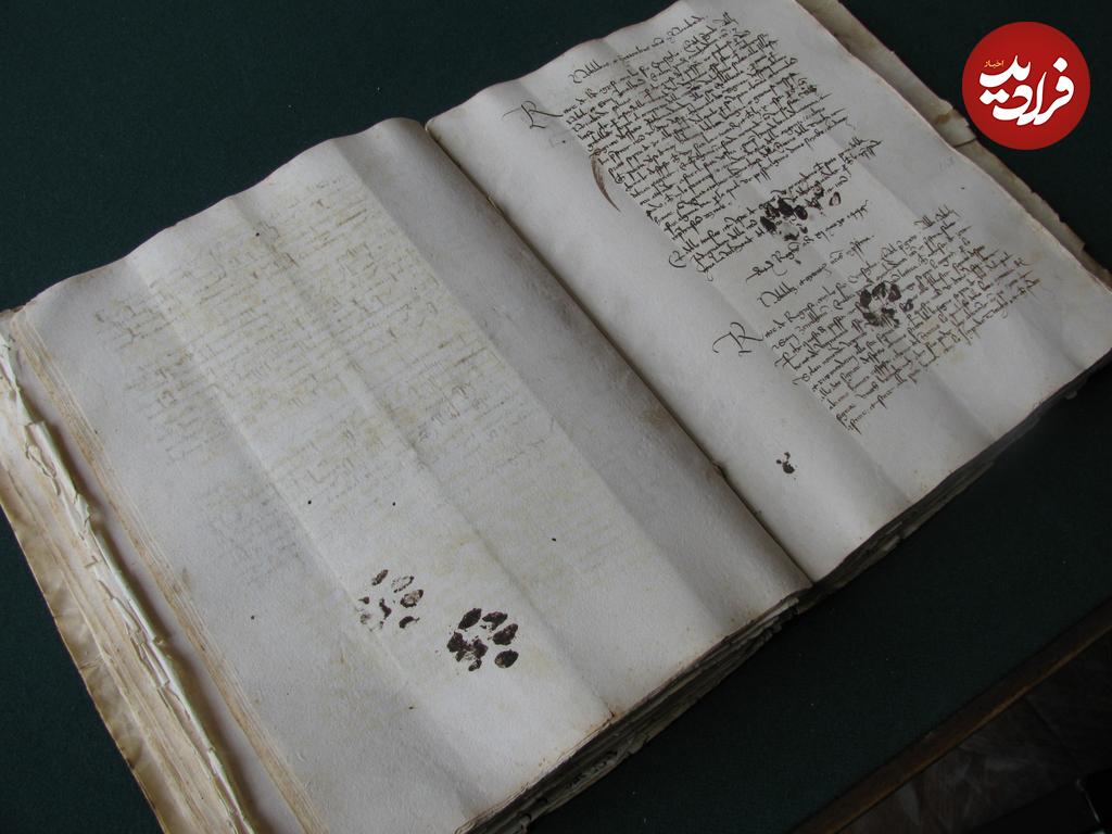 قدیمیترین ردپاهای کشف شده از گربهها در جهان/ عکس