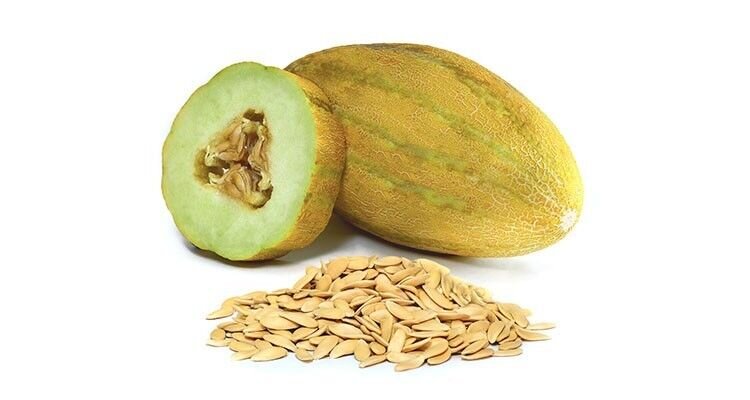 میوههایی که شما را لاغر میکنند/ معرفی ۸ میوه با خاصیت کاهش وزن