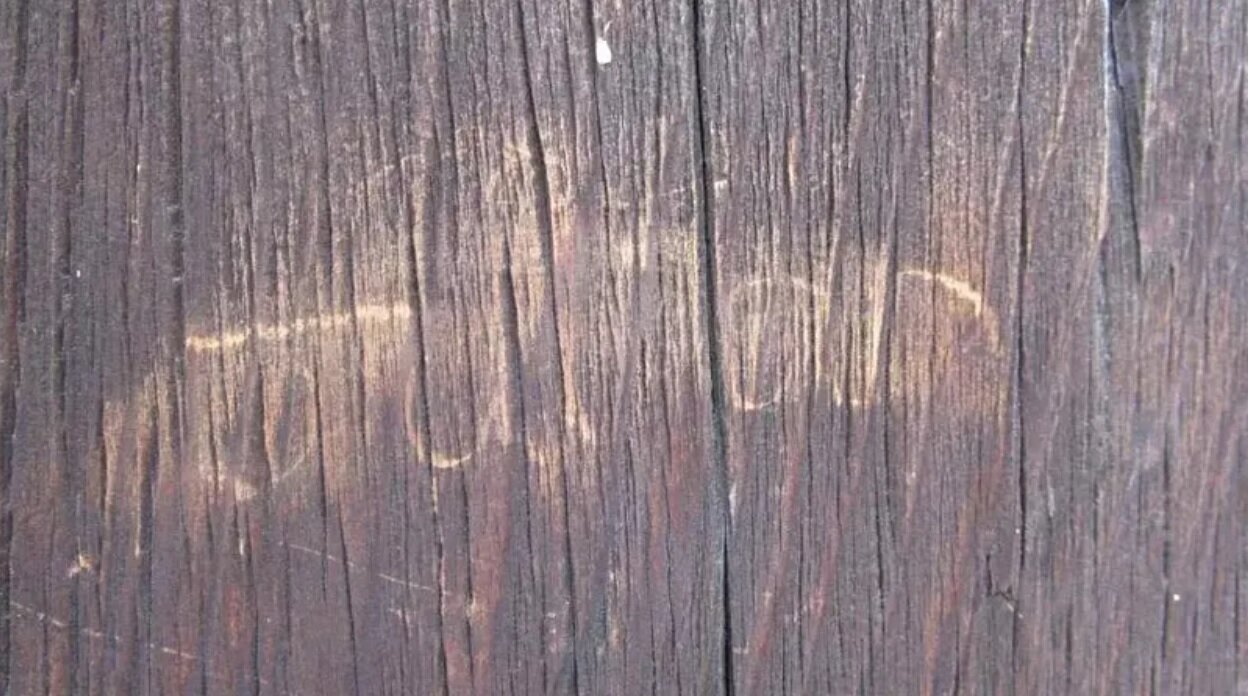 دستگیری گردشگر نوجوان به جرم تخریب اثر باستانی/ عکس