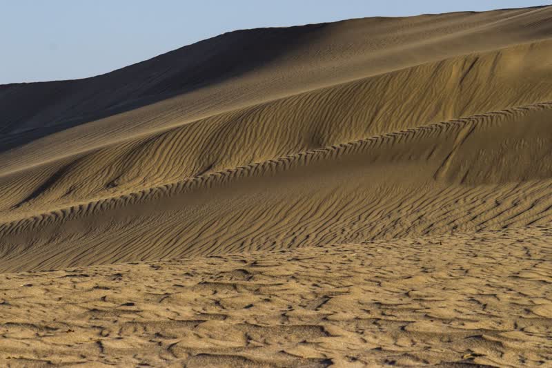 تلماسه های کویر سمنان