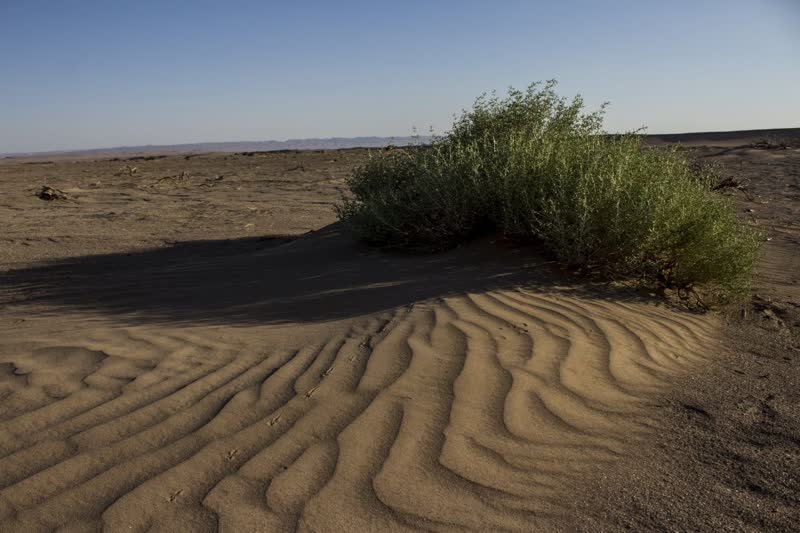 تلماسه های کویر سمنان