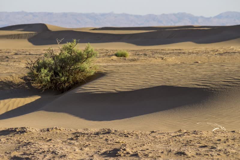تلماسه های کویر سمنان