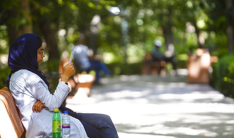 تناقض در مواجهه با نسل «Z»؛ پاراگراف فجازی را ترجیح میدهند تا کتاب/ برخلاف نسل گذشته ریا ندارد