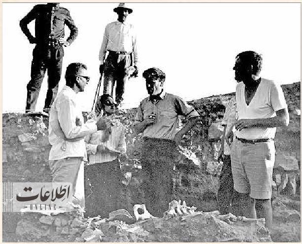 از چه زمانی قیطریه برای تهرانیها مهم شد؟/ عکس