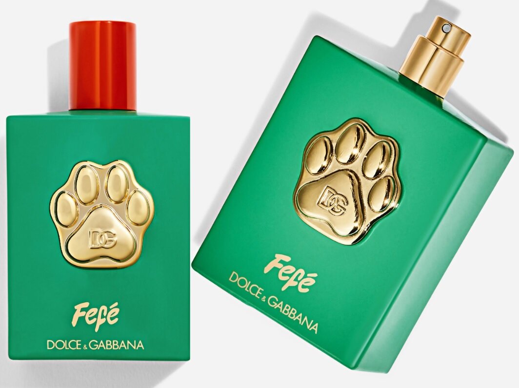 عطری از برند دولچهگابانا برای سگها/ عکس