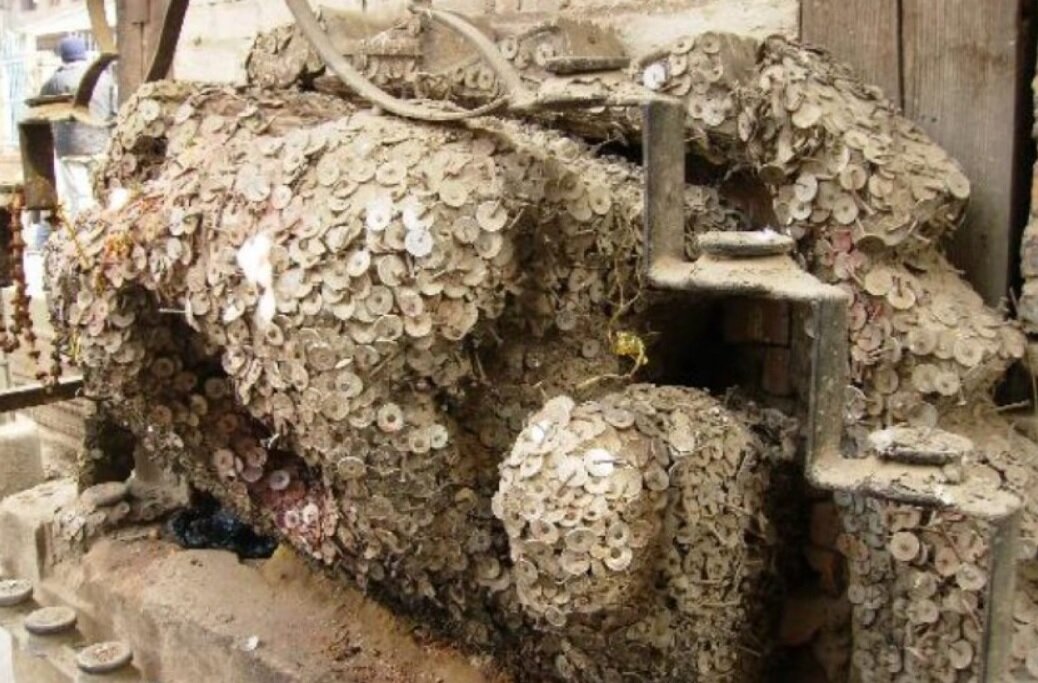 درختی برای درمان دنداندرد!/ عکس