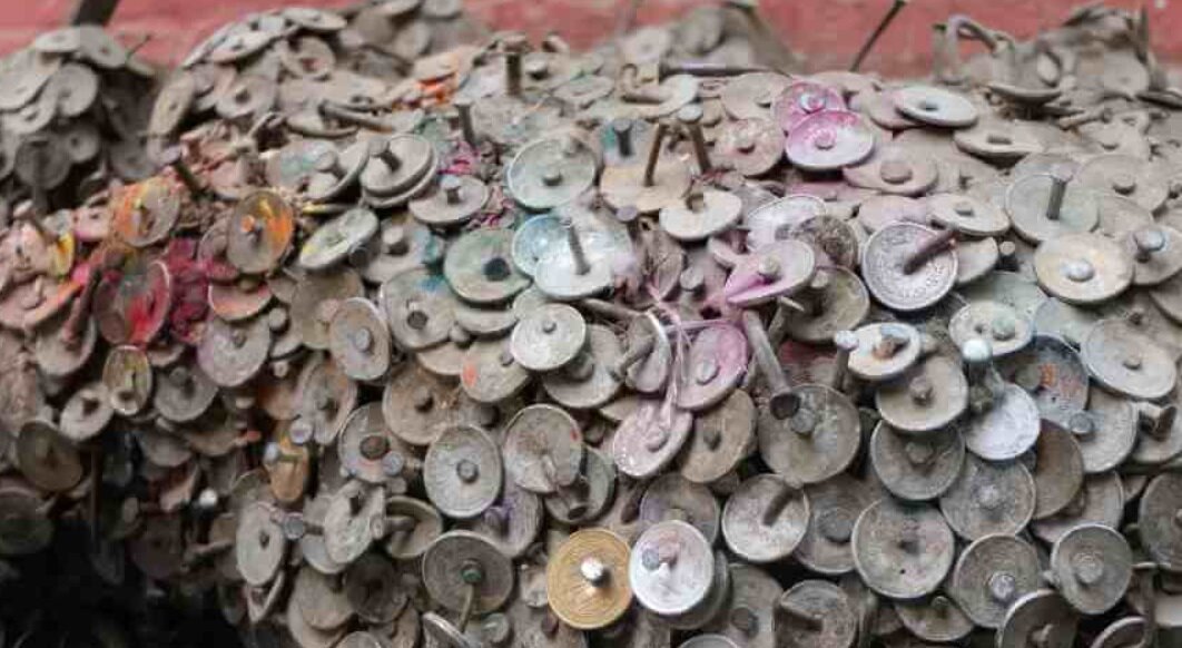 درختی برای درمان دنداندرد!/ عکس