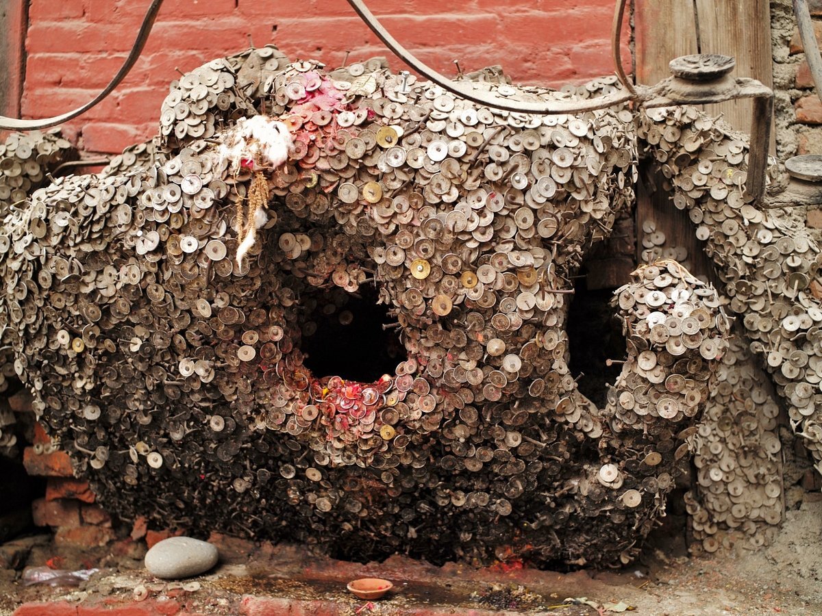 درختی برای درمان دنداندرد!/ عکس