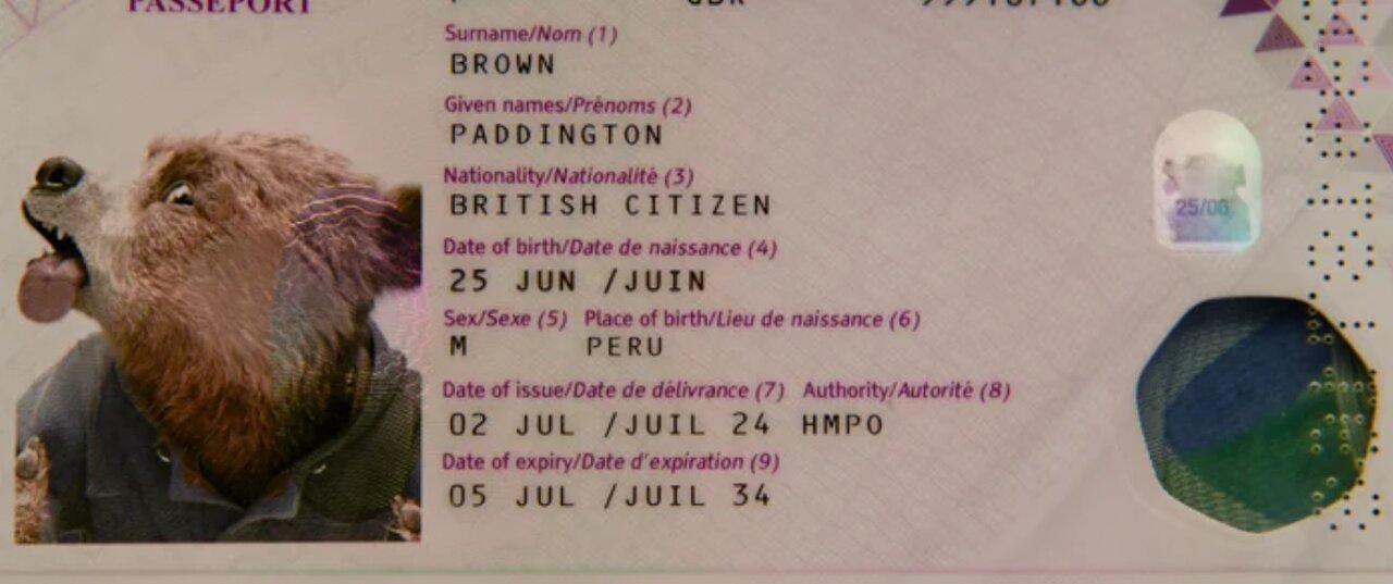 بریتانیا برای یک خرس غیرواقعی گذرنامه صادر کرد!/ عکس