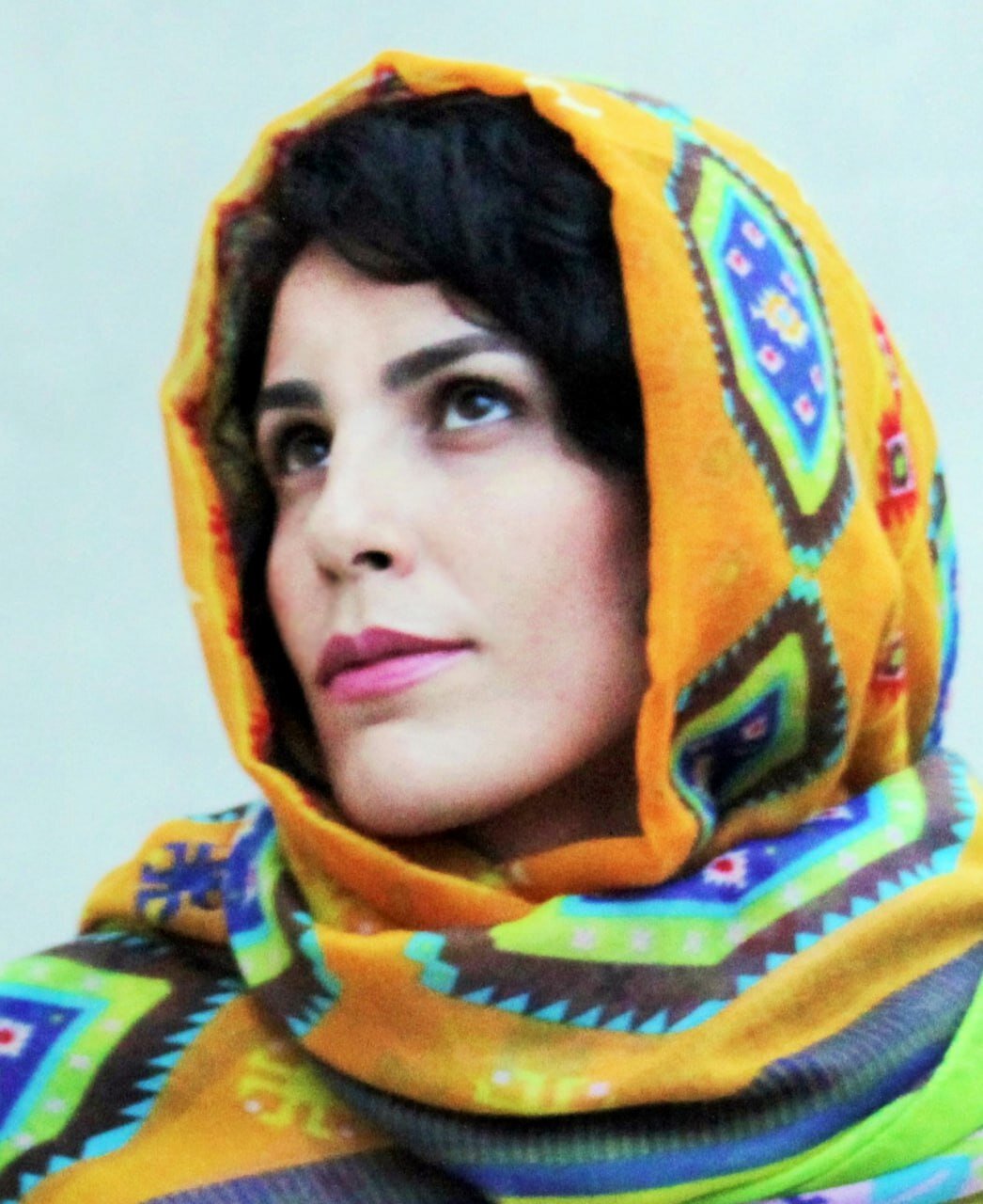 ناتور دشت؛ ناتور میهن ناتور دشت؛ ناتور میهن