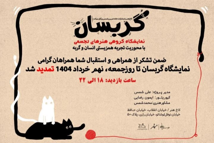 رابطه چندلایه میان انسان و گربه رابطه چندلایه میان انسان و گربه