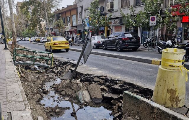کندن برخی درختان خیابان فلسطین از ریشه، علت چیست؟ کندن برخی درختان خیابان فلسطین از ریشه، علت چیست؟