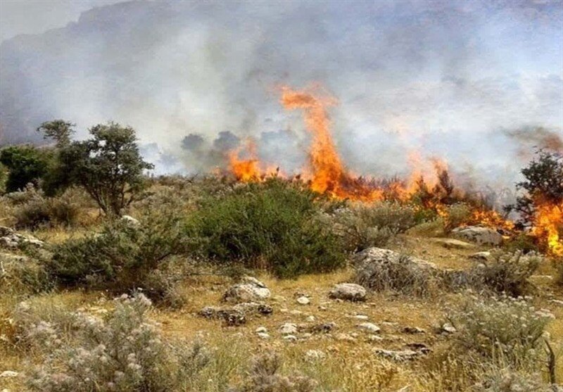 آتشسوزی گسترده در سنندج/ جزئیات آتشسوزی گسترده در سنندج/ جزئیات