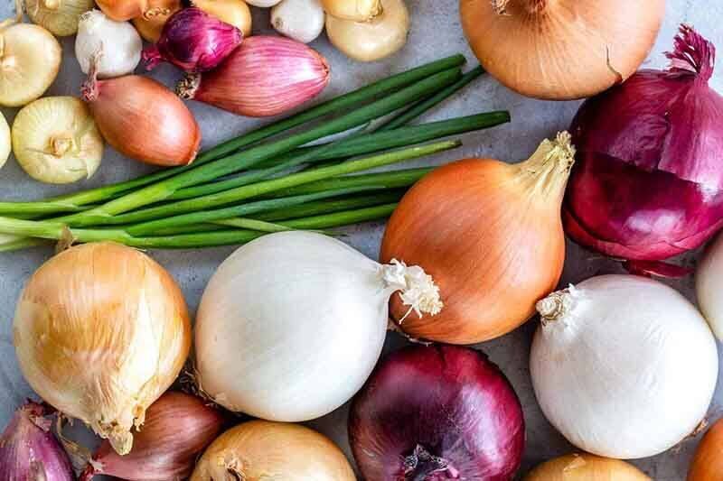 پیاز سفید یا قرمز؛ ارزش غذایی کدام بیشتر است؟ پیاز سفید یا قرمز؛ ارزش غذایی کدام بیشتر است؟
