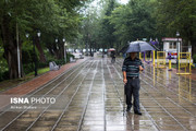وزش باد و باران در پایتخت