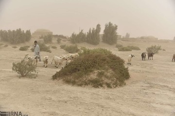 توفان شن در سیستان‎