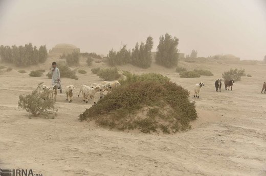 توفان شن در سیستان‎