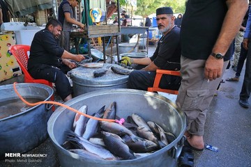 پذیرایی عراقی ها از زائران اربعین