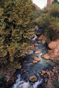 گیسوان آبی زمین در لرستان