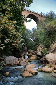 گیسوان آبی زمین در لرستان