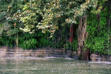 گیسوان آبی زمین در لرستان