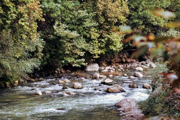 گیسوان آبی زمین در لرستان