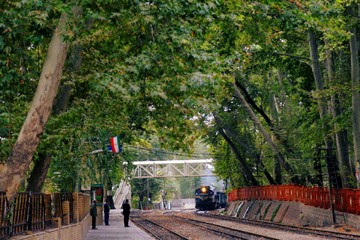گیسوان آبی زمین در لرستان