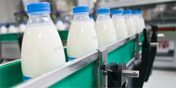 قیمت جدید شیرخام تصویب شد/ ۲۰۰۰ تومان در دامداری‌ها