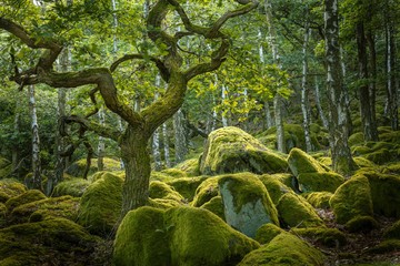 تصاویر برتر مسابقه عکاسی چشم انداز ۲۰۱۸