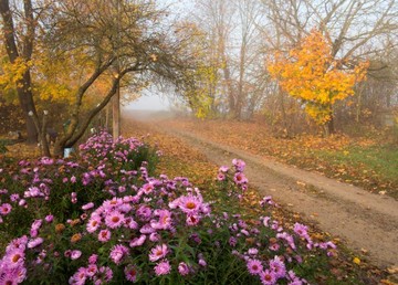 پاییز در بلاروس