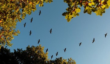 پاییز در اسکاتلند
