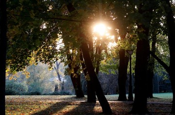 پاییز در شهر مینسک  بلاروس