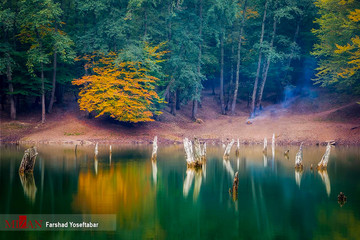  عکس | دریاچه‌ای رویایی وسط جنگل‌های ساری