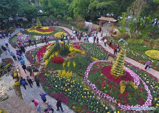 نمایشگاه گل‌های داوودی در چین