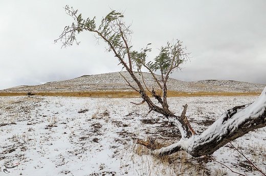 بارش برف پاییزی در ارتفاعات ارمند زنجان