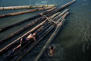 عکس | شناور بودن روی آب در عکس روز نشنال جئوگرافیک
