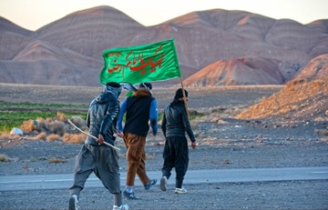 زائرین پیاده حرم مطهر رضوی(ع)