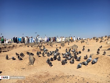 قبرستان بقیع