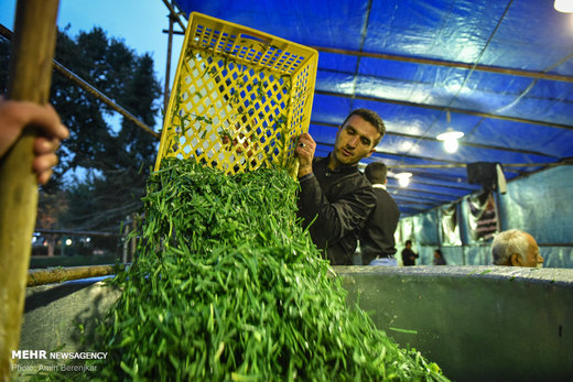 طبخ 84 هزارکیلو آش نذری در شیراز