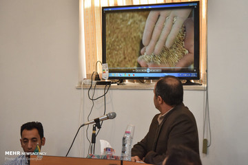 چهارمین دادگاه مخلوط کنندگان خاک با گندم در شیراز